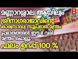 ബ്രഹ്‌മമുഹൂര്‍ത്തത്തില്‍ ജപിച്ചു തുടങ്ങുമ്പോള്‍ തന്നെ മന്ത്രത്തിന്റെ ശക്തി തിരിച്ചറിയാന്‍ തുടങ്ങും