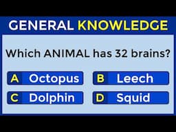 How Good Is Your General Knowledge? Take This 25-question Quiz To Find Out! #challenge 81