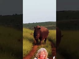 Rhino almost CHARGES TOURIST