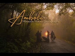 Amboli - Monsoon Macro Photography