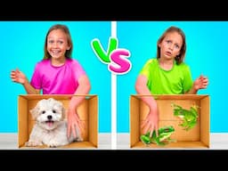 What is in the box - Collection Funny Kids Song and Nursery Rhymes Maya Mary Mia