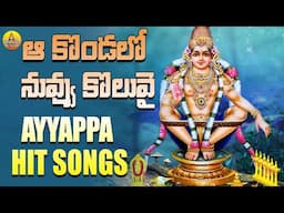 Aa Kondalo Nuvu Koluvai | Ayyappa Swamy Song | Ayyappa Telugu Devotional Song | Manikanta Swamy Song