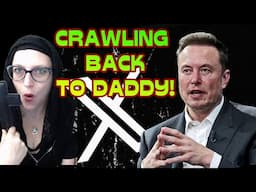 Disney, Warner, Lionsgate CRAWL BACK TO ELON MUSK | What's the REAL Reason? An AI TAKEOVER!?