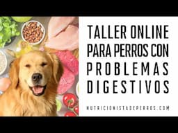 Nuevo taller online para el perro con problemas digestivos.