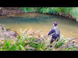 Fly Fishing a Small Stream for Big Trout [My biggest brown of the season]