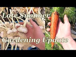 Late Summer Veg Growing Update :  First Carrots & Container Potato Havest