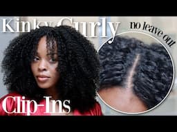 Trying the Viral *NO LEAVE OUT* CLIP-INS | Ft. IDN Beauty ♡