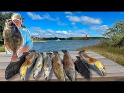 Fishing One of the GULF COAST'S Best Kept SECRETS for THESE FISH!! **CATCH AND COOK**