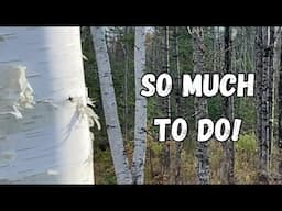 Maine Winter Prep! Checking Off Our To Do List! | Maine Offgrid Cabin Life