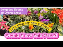 Orchid Sale! Let’s shop for plants & Orchids in Miami