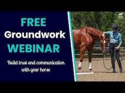 Free Groundwork Webinar