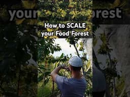 Full video with Matt on how he scaled his Food Forest is live