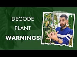 🚫 STOP! Signs You’re Stressing Out Your Plants! 🌿😰