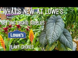 Plant Shopping at Lowes & Getting some Orchid Supplies for a Repotting!