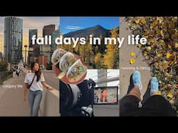 fall days in calgary vlog | productive days, running & fall hike