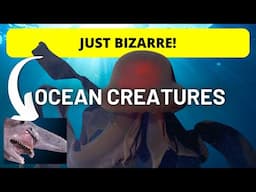 Top 10 Most BIZARRE Deep Sea Creatures EVER Discovered!