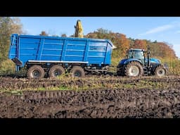 Mais 2024 / Modderen / New Holland FR700 / Joosen / Mud / Maize silage