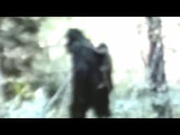 The Clearest Bigfoot Sightings Ever Caught On Camera