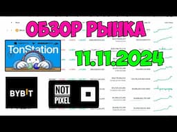 🔴ОБЗОР РЫНКА КРИПТОВАЛЮТ, ПОРТФЕЛЯ, ТАПАЛОК 11.11.2024