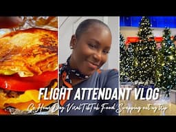 FLIGHT ATTENDANT VLOG | Trying Viral Foods, Go Home Day, & Swapping out my trip | VLOGMAS DAY 4