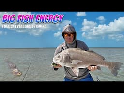 Fishing SECRET Inshore Spots with BIG Fish & HUGE Crocodiles