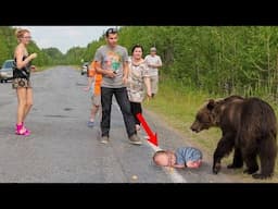 The Family Couldn't Stop Screaming When They Realized What the Bear Is Doing to the Baby