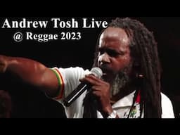 Andrew Tosh Live @ Reggae 2023