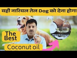 डॉग के लिए सबसे अच्छा नारियल तेल यही होगा 👉🏽 खिलाओ और कमाल देखो best coconut oil for dogs