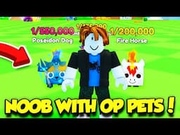 Noob Gets OP PETS FAST IN PETS GO!!