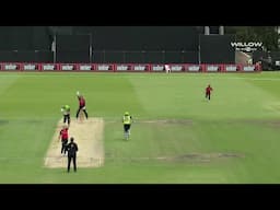 Sophie Molineux 4 wickets vs Sydney Thunder Women | 37th Match, SYTW VS MLRW