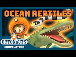 @Octonauts - 🐍 Awesome Ocean Reptiles! 🐊 | 2 Hours+ Full Episodes Marathon