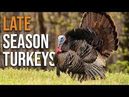 This Is How You Turkey Hunt in the Late Season