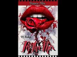 Excellent Dance Mix  Dj Zuka