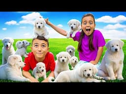 DeeDee Matteo and Gabriella Cutest Collection of Puppy Videos