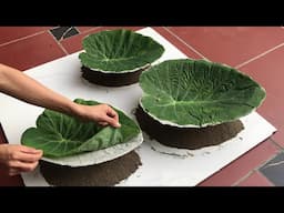 The art of creating extremely unique flower pots from taro leaves and cement