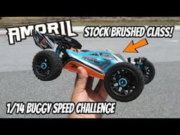 Amoril 1/14 Scale Buggy Urban Legend RC Speed Challenge | Stock Brushed Class @UrbanLegendRC