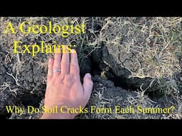 A Geologist Explains Why Soil Cracks Form Each Summer