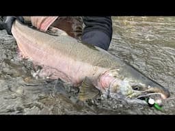 High Water Salmon Fishing Tips & Tricks (Small Rivers & Creeks)