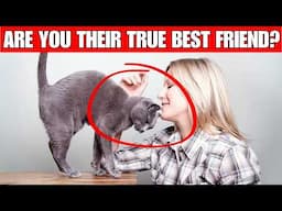 15 signs your cat sees you as a TRUE BFF! | YOUR SPECIAL connection