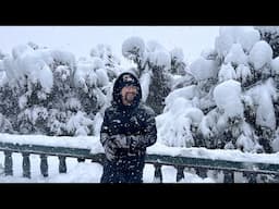 Snowfall In Shimla #shorts #short #ytshorts