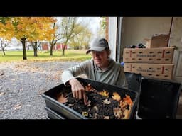 #33 More Clean-Up, More Worms, More Leaves, @wendalanefarms