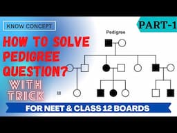 Pedigree Analysis For NEET and Class 12 | How to solve pedigree ?