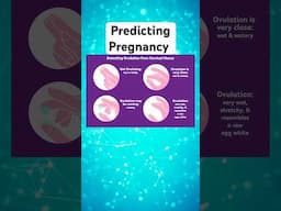 The Best Way to Predict Pregnancy! #drrich #pregnancytips #pregnancyprediction  @consciouslycait