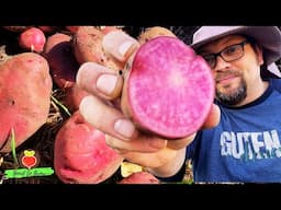 Two Outstanding Fall Potatoes You'll Want to Keep Planting