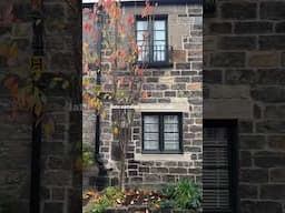 Autumn in Circus Lane 🍂🍁 #edinburgh