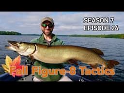 EPIC Early Fall Figure-8 Musky! Muskie Tips for Cooling Water | S7.E24