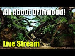 [LIVE]  All About Driftwood!  Plus FIsh Q&A and a Giveaway!