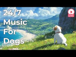 🔴 [LIVE] Soothing Calm Music for Dogs to Relax 24/7