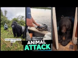 Animal Attacks On Human 2024 PART 3