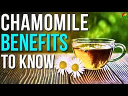 9 Benefits of Chamomile To Know! | Health Benefits Of Chamomile Tea